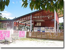 �؉A�������ς��̃h�b�O�����ł��B