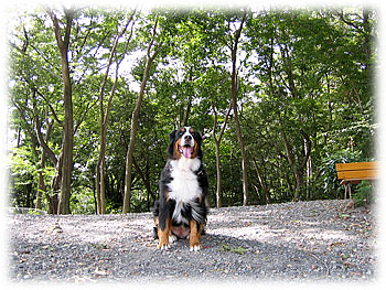 �u�y�������Ԃ��ˁB�v