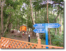 �����ł��d�����Ă����񂿂�񂪂������񂢂��B