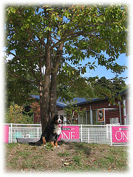 �u����ƁA������`�B�v