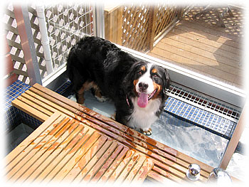 �u����ς�A������`�I�v