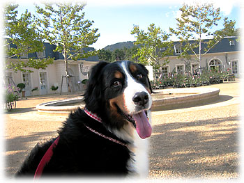 �̂�т�Ƃ������͋C����B