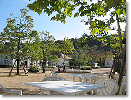 �t�����X�L��