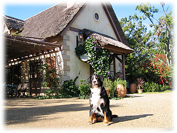 �������ȃA���[����B