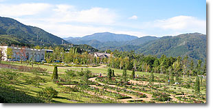 �ƂĂ����ꂢ�Ȓ뉀�ł��B