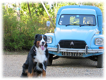 ���g���ȎԂƈꏏ�Ƀ|�[�Y�I