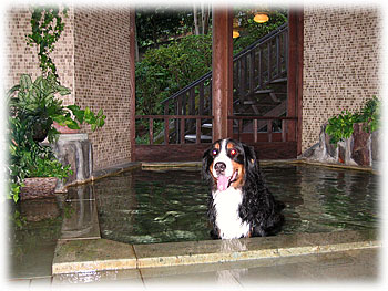 �u���͓͂���B�v