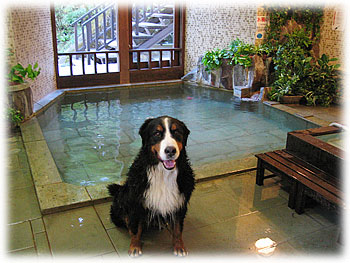 �u������ƁA�ǂ��ǂ�����B�v