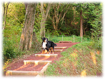 ���ꂢ�ȃh�b�O��������B