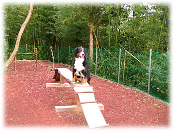 �V����i�`����������B