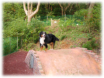 �̂ڂ�����A���肽��E�E�E�A����������B