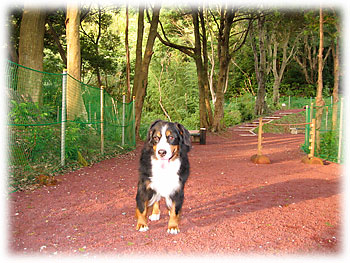 �u�������܂Ԃ����ł��B�v