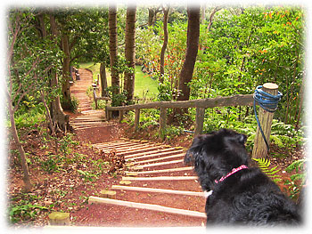 �u���[��A���R�̏�܂ŗ���������񂾂ˁB�v