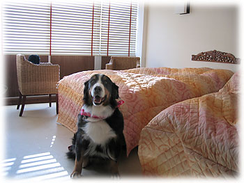 �u���������C�����ς�����B�v