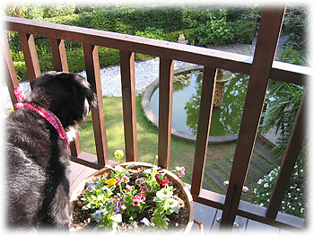 ���X�g�����e���璆��𒭂߂āB