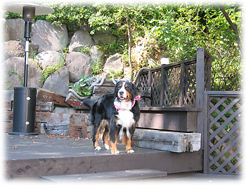 �u���������炷������B�v