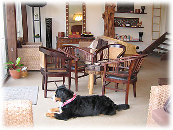 ���r�[�ł��낮�΁[�Ɂ[�B