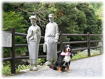 �쉈���̓��͂������U���R�[�X����B