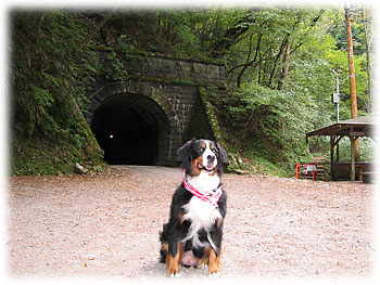 ���V��g���l���Ƃ΁[�Ɂ[