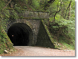 ���V��g���l��