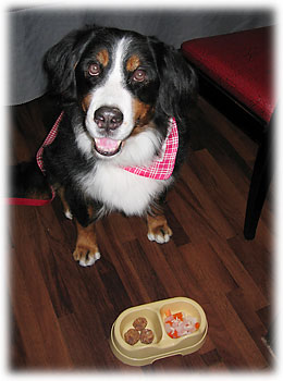 �u��������������B���������܁[���I�v