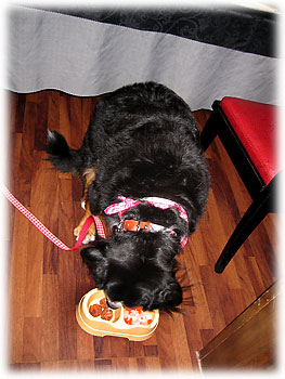 �u����Ȃ�������Ȃ��o�ŐH�ׂ����ƂȂ���B�B�B�v