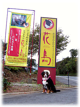 ���F���Ŕ��ڂ��Ђ���B