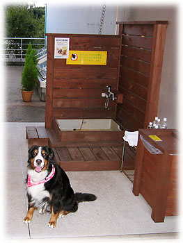 �u��񂱂ɗD�����ݔ����ˁB�v