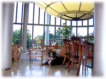 �u�����͒N�����Ȃ��ˁB�v