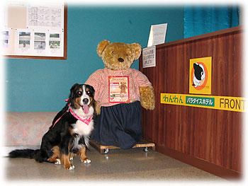 �u���r�[�͍L����B�v