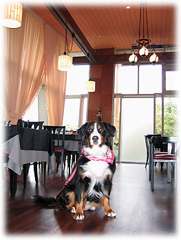 �u���͍L�X���ˁB�v