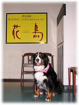 �u���������X�g�����̓��������B�v