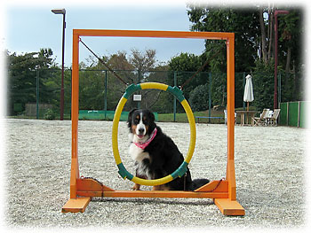 �u�������Ă݂悤���ȁH�v