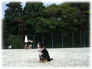 �u�Ђ�[����B���񂭂�B�v