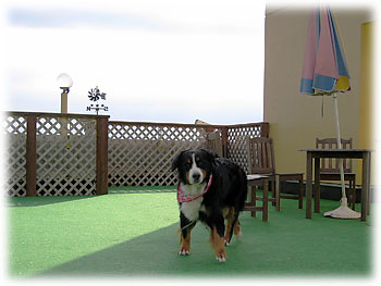 �u�ǂ��ɂ��Ă��y������B�v