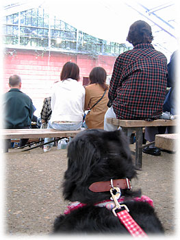 �u���\��͑���킢����B�v