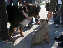 �u����ɂ����I�v