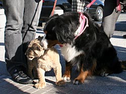 �u�������s�v�c�ȏo����ˁB�v