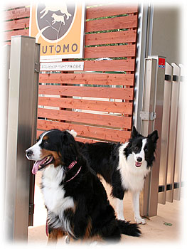 �u���d���A����΂��ĂˁB�v