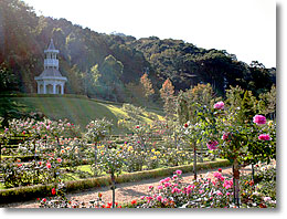 �L�I�X�N(�����܂�)�������Ă܂��B