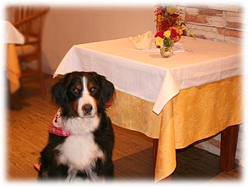 �΁[�Ɂ[�A�����q��������B