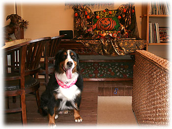 ���������n���E�B������B