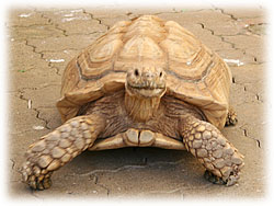 �l�Ȃ�������B