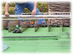 �y�����J�����[�X�B