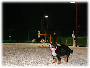 �u�Ђ���Ƃ�����C���C���������ˁB�v