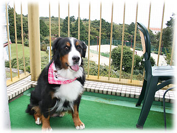 �u���ɓ�����ƋC�������t���b�V���I�v