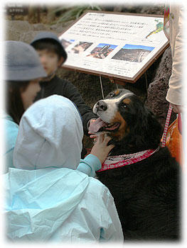 �u�݂�ȂɃi�f�i�f���Ă��������B�v