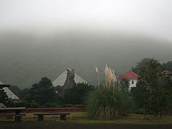 �厺�R�ƃV���{�e������