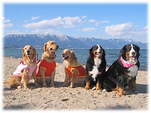 ���i�΂̂قƂ�ŁE�E�E�B