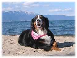 ���i�΂Ƃ΁[�Ɂ[